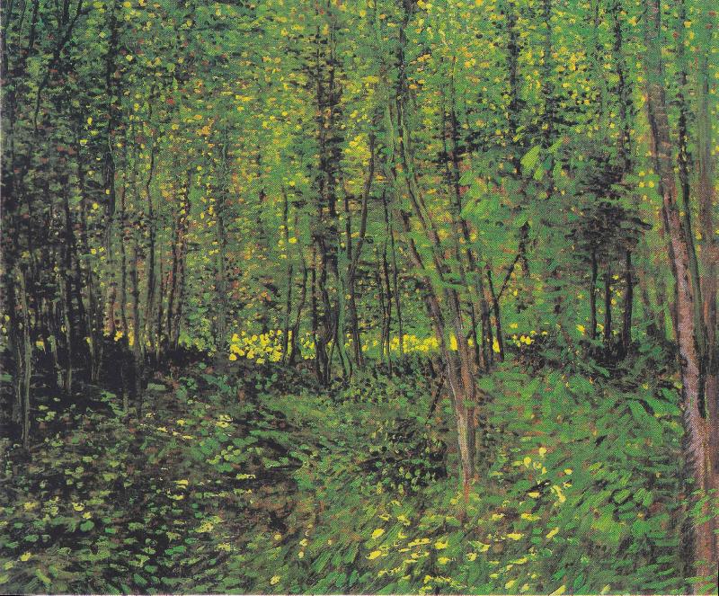 Vincent Van Gogh Trees and underwood oil painting image